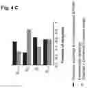 Fig. 06 - METHOD AND SYSTEM FOR PREDICTING COUPLING PROBABILITIES OF G-PROTEIN COUPLED RECEPTORS WITH G-PROTEINS