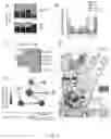 Fig. 08 - METHOD AND SYSTEM FOR PREDICTING COUPLING PROBABILITIES OF G-PROTEIN COUPLED RECEPTORS WITH G-PROTEINS