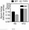 Fig. 10 - METHOD AND SYSTEM FOR PREDICTING COUPLING PROBABILITIES OF G-PROTEIN COUPLED RECEPTORS WITH G-PROTEINS