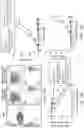 Fig. 26 - CHIMERIC CO-STIMULATORY PROTEINS COMPRISING MUTANT INTRACELLULAR DOMAINS WITH INCREASED EXPRESSION