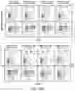 Fig. 31 - CHIMERIC CO-STIMULATORY PROTEINS COMPRISING MUTANT INTRACELLULAR DOMAINS WITH INCREASED EXPRESSION