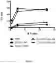 Fig. 07 - COMPOSITIONS AND METHODS OF CHIMERIC ALLOANTIGEN RECEPTOR T CELLS