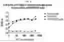 Fig. 05 - ANTI-ALPHA-SYNUCLEIN ANTIBODIES