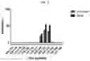 Fig. 07 - ANTI-ALPHA-SYNUCLEIN ANTIBODIES