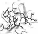 Fig. 10 - ANTI-ALPHA-SYNUCLEIN ANTIBODIES