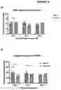 Fig. 06 - Methods and agents for the treatment of ocular disease