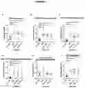 Fig. 07 - Methods and agents for the treatment of ocular disease