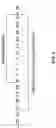 Fig. 05 - ANTIBODY TO HUMAN IL-1 BETA