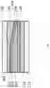 Fig. 04 - GLAZING HAVING A VARIABLE SWITCHABLE FILM