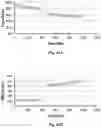 Fig. 24 - Advanced electrolyte systems and their use in energy storage devices