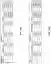 Fig. 08 - Preservation method