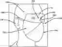 Fig. 01 - Safe Dining Mask
