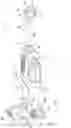 Fig. 04 - Floor cleaner