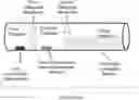 Fig. 01 - Pharmaceutical composition for topical wound treatment