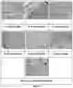 Fig. 12 - Pharmaceutical composition for topical wound treatment
