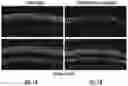 Fig. 02 - Methods for efficient delivery of therapeutic molecules in vitro and in vivo