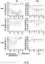 Fig. 04 - Methods for efficient delivery of therapeutic molecules in vitro and in vivo