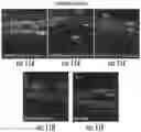 Fig. 10 - Methods for efficient delivery of therapeutic molecules in vitro and in vivo
