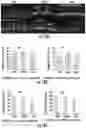 Fig. 16 - Methods for efficient delivery of therapeutic molecules in vitro and in vivo
