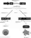 Fig. 01 - DNA, EXPRESSION VECTOR, TRANSCRIPT, CELL, PHARMACEUTICAL COMPOSITION, AND MEDICINE