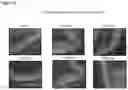 Fig. 09 - OPTIMIZED GENE THERAPY TARGETING RETINAL CELLS
