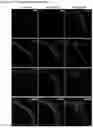 Fig. 16 - OPTIMIZED GENE THERAPY TARGETING RETINAL CELLS