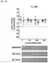 Fig. 15 - METHODS AND COMPOSITIONS FOR TREATING EPILEPSY