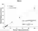 Fig. 17 - POINT OF CARE DROPLET DIGITAL PCR