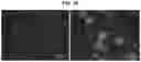 Fig. 28 - POINT OF CARE DROPLET DIGITAL PCR