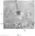 Fig. 06 - SPRINKLER SHROUD DEVICE
