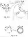 Fig. 02 - Rapid synthesis of metal nanoparticles