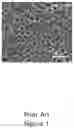 Fig. 02 - Elastomeric silicone compositions comprising glycerol, cyclodextrin and octenidine