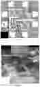 Fig. 08 - OPTO-ELECTRONIC DEVICE FABRICATION METHOD AND ELECTRONIC CIRCUIT