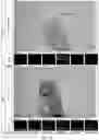 Fig. 06 - METHOD FOR REAL TIME WHITEBOARD EXTRACTION WITH FULL FOREGROUND IDENTIFICATION