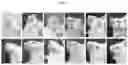 Fig. 02 - METHOD OF PREPARING MOUSE MODEL OF HERPES