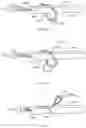 Fig. 48 - METHODS AND DEVICES FOR TISSUE GRAFT FIXATION