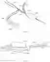 Fig. 56 - METHODS AND DEVICES FOR TISSUE GRAFT FIXATION