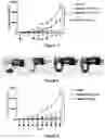 Fig. 04 - CELLULAR SENESCENCE ACTIVATING COMPOUNDS