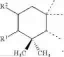 Fig. 24 - CELLULAR SENESCENCE ACTIVATING COMPOUNDS