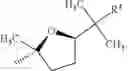 Fig. 69 - CELLULAR SENESCENCE ACTIVATING COMPOUNDS