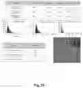 Fig. 22 - GENERATION OF NEURAL STEM CELL LINES DERIVED FROM HUMAN PLURIPOTENT STEM CELLS