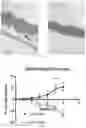 Fig. 09 - Methods and Compositions for Treating Obesity and/or Skin Disorders