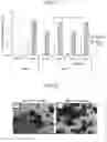 Fig. 16 - PRODUCTION METHOD AND KIT OF INDUCED PLURIPOTENT STEM CELLS