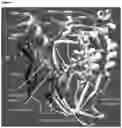 Fig. 02 - PHI29 DNA POLYMERASE MUTANTS WITH IMPROVED PRIMER RECOGNITION