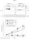 Fig. 06 - Recombinant vector for expressing target protein in plant cell