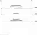 Fig. 01 - Method for transmitting or receiving signal in wireless communication system and apparatus for supporting same