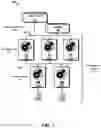 Fig. 02 - TABLE PARTITIONING WITHIN DISTRIBUTED DATABASE SYSTEMS