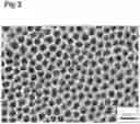 Fig. 04 - Sample support, sample ionization method, and mass spectrometry method