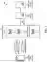 Fig. 02 - Multi-beam routing using a lens antenna