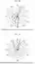 Fig. 09 - Communication control apparatus and method of artificial satellite